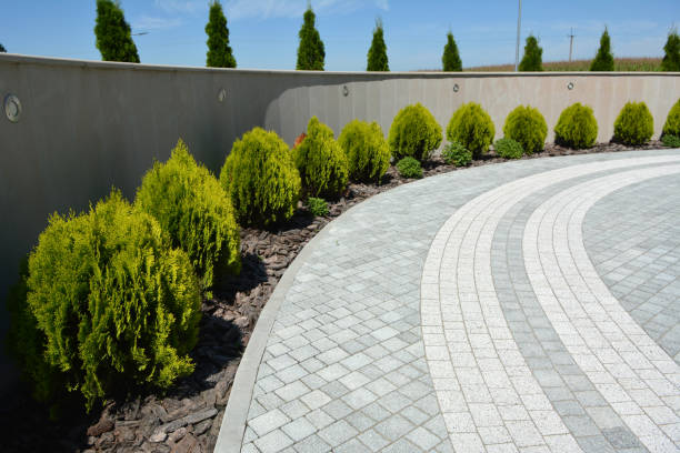 Best Driveway Repair Near Me  in Allison, IA
